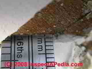 Photograph of paint failure details
